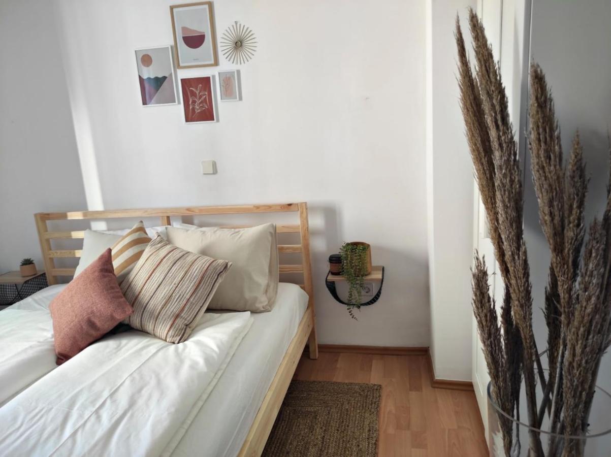 Villa Casa San Benussi Rovigno Esterno foto