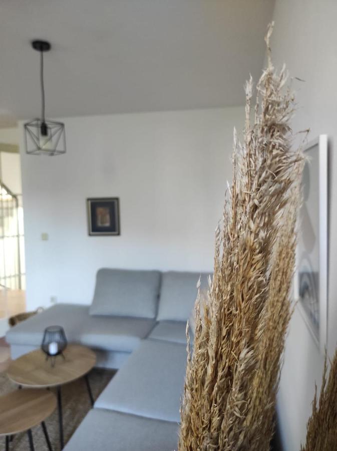 Villa Casa San Benussi Rovigno Esterno foto